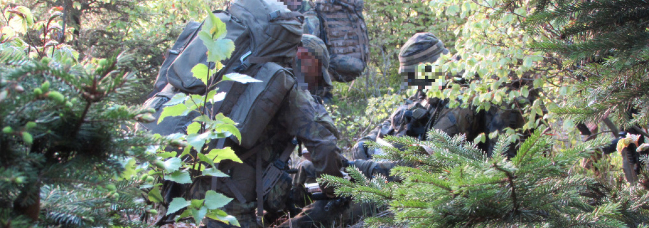 3pzraz-kratka_zastavka_1.jpg