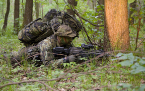 Výcvik AZ 41.mpr
