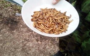 Doporučené doplňky stravy při závodu